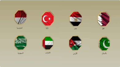 بيان مشترك لوزراء خارجية 8 دول إسلامية يؤكد دعم جهود إنهاء الحرب في غزة وتكريس حل الدولتين 4 2 280