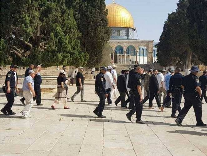 مستوطنون يقتحمون المسجد الأقصى مجددًا 1 20 10