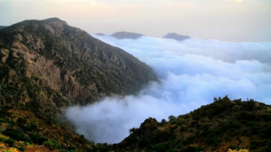 من الصيف في مكة إلى شتاء أبها.. فوارق حرارية كبرى تشهدها المملكة اليوم 5 22 121