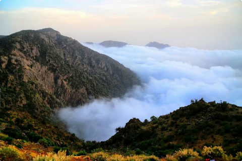 من الصيف في مكة إلى شتاء أبها.. فوارق حرارية كبرى تشهدها المملكة اليوم 1 22 121