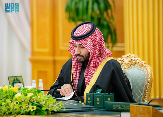 مجلس الوزراء برئاسة ولي العهد يشدد على إدانة انتهاكات الاحتلال في غزة ويدعم حل الخلافات بالحوار 1 222 96