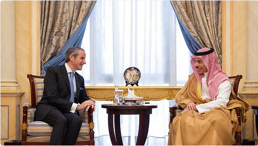 وزير الخارجية يستقبل مدير الوكالة الدولية للطاقة الذرية 1 3 271