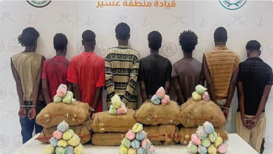 حرس الحدود يُحبط تهريب 380 كجم من القات ويقبض على 21 مهربًا في عسير وجازان 6 3 281