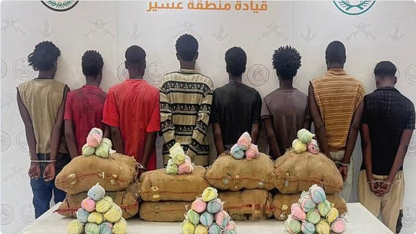 حرس الحدود يُحبط تهريب 380 كجم من القات ويقبض على 21 مهربًا في عسير وجازان 1 3 281