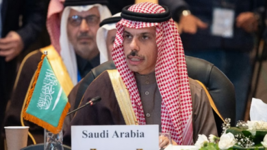 وزير الخارجية يبحث مع نظيره الكوبي تطورات الأوضاع في الشرق الأوسط هاتفيًا 3 31 13
