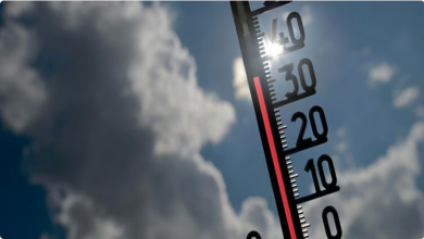 موجة الحر تضرب ألمانيا: درجات الحرارة تتجاوز الـ37 درجة مئوية في الجنوب الغربي 5 33 105