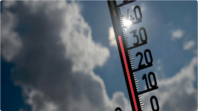 موجة الحر تضرب ألمانيا: درجات الحرارة تتجاوز الـ37 درجة مئوية في الجنوب الغربي 1 33 105