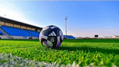 رابطة الدوري تُعلن مواعيد الجولات 7-12 من دوري روشن وتُجري تعديلات على ملاعب الأهلي والاتحاد 6 33 115