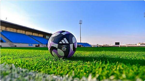 رابطة الدوري تُعلن مواعيد الجولات 7-12 من دوري روشن وتُجري تعديلات على ملاعب الأهلي والاتحاد 1 33 115