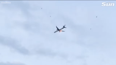 شاهد.. طائرة ألمانية تضطر لهبوط اضطراري بعد اشتعال محركها 6 333 87