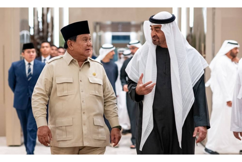 رئيسا الإمارات وإندونيسيا يبحثان القضايا الإقليمية والدولية 1 333 89
