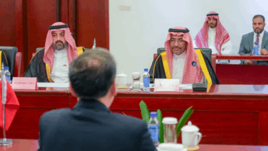 "وزير الصناعة" يبحث التعاون مع الصين بصناعة السيارات 3 333 92