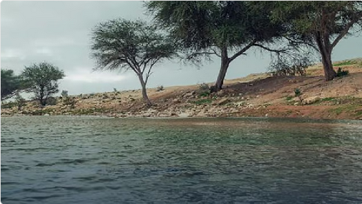 «الدفاع المدني» تُحذر من مخاطر السيول وتدعو للابتعاد عن بطون الأودية 1 39 8