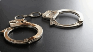 الجهات الأمنية تحبط تهريب أكثر من 350 كيلوجرامًا من القات وتضبط 13 مخالفًا 6 4 314