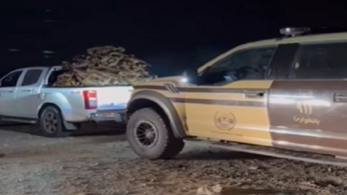 الأمن البيئي يضبط مخالفين لنقل حطب محلي داخل محمية الإمام تركي بن عبدالله 2 4 331