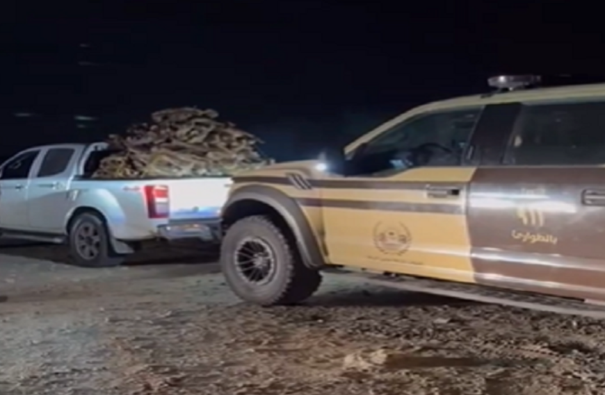 الأمن البيئي يضبط مخالفين لنقل حطب محلي داخل محمية الإمام تركي بن عبدالله 1 4 331