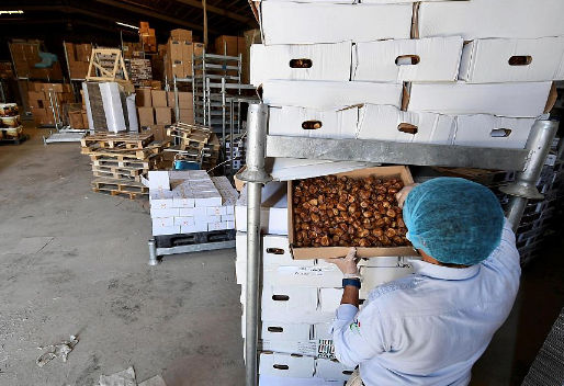 “الغذاء والدواء” تضبط أكثر من 11 طناً من المنتجات المخالفة خلال حملتها الرقابية 1 41005 35