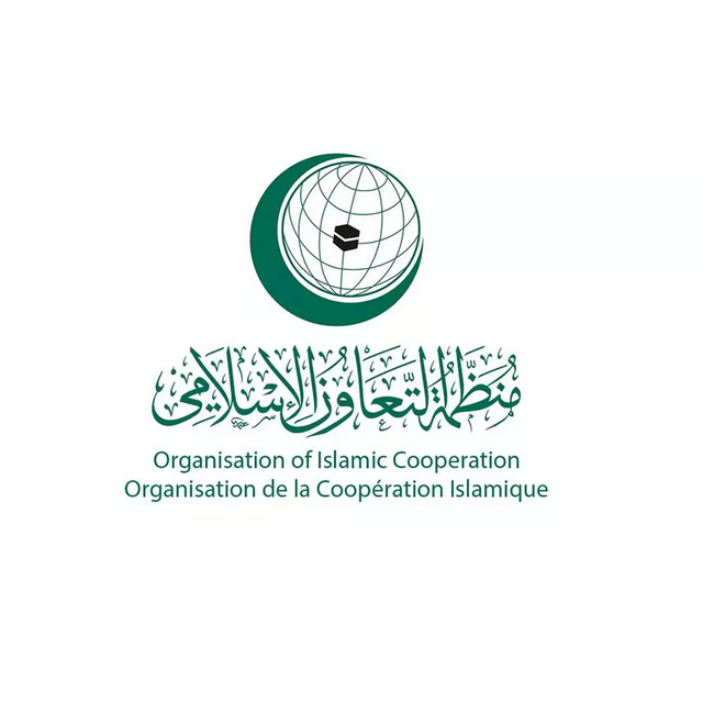 منظمة التعاون الإسلامي تدين إقرار عقوبة الإعدام للأسرى الفلسطينيين وتعتبر الانتهاكات الإسرائيلية جرائم حرب وإبادة جماعية 1 44 125