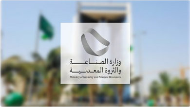 "الصناعة والثروة المعدنية" تُسرّع الاستثمار: معالجة 543 طلب فسح كيميائي في يونيو 2025 2 44 86