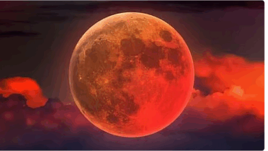 باحث فلكي يفسر ظاهرة 'القمر الأحمر' خلال الخسوف الكلي 5 444 82