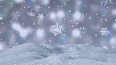 "فلكية جدة": الانقلاب الشتوي الأحد 06:03 مساءً.. وبداية الشتاء فلكيًا 89 يومًا 6 5 2 7