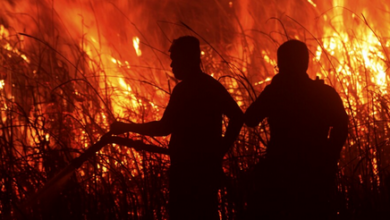 إندونيسيا تُعلن حالة الطوارئ في مقاطعة كوبو رايا بسبب حرائق الغابات 5 5 354