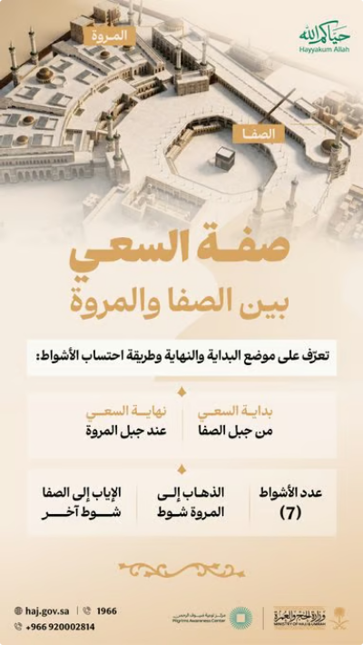 دليل ضيوف الرحمن.. «الحج والعمرة» توضح الصفة الصحيحة لشعيرة السعي. 1 5 361