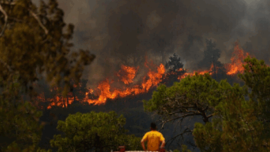 حرائق غابات هائلة تهدد أحياء أنطاليا التركية 4 55 108