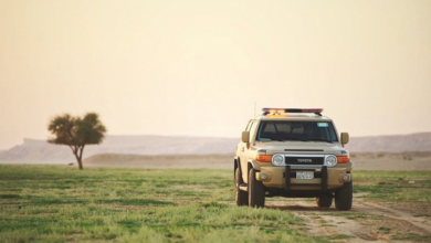 "الأمن البيئي" يضبط مواطنًا مخالفًا لنظام البيئة في منطقة المدينة المنورة 15 55 129