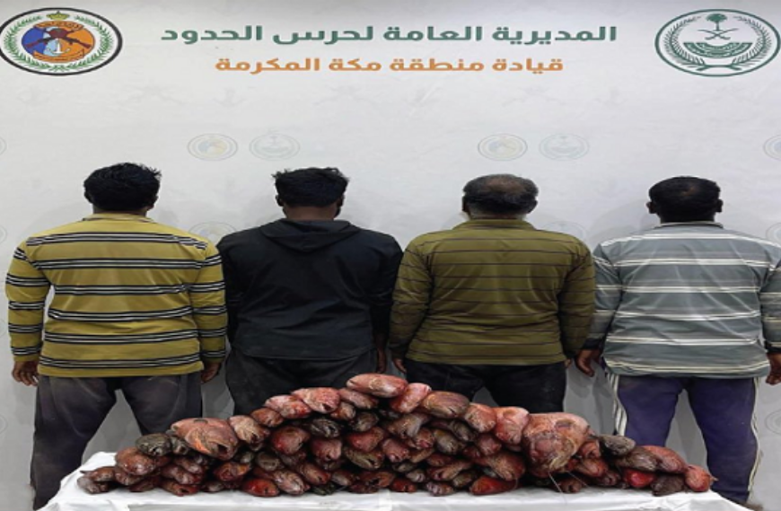 ضبط 4 مخالفين للائحة الأمن والسلامة لمزاولي الأنشطة البحرية في مكة 1 555 70