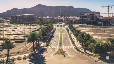 جامعة طيبة تفتح باب القبول في السنة التأهيلية للصم وضعاف السمع لعام 1447هـ 5 555 74