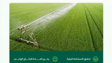 "البيئة": إيصال الكهرباء لـ 213 مزرعة ضمن برنامج إزاحة الوقود السائل أسهم في تخفيض تكلفة الطاقة بنسبة 60% 3 5555 67