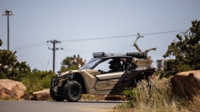 الأمن البيئي يضبط مواطنًا يرعى 7 من الإبل في مواقع محظورة داخل محمية الإمام عبدالعزيز بن محمد 6 6 2 9