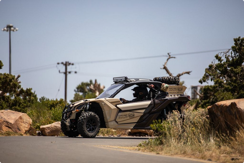 الأمن البيئي يضبط مواطنًا يرعى 7 من الإبل في مواقع محظورة داخل محمية الإمام عبدالعزيز بن محمد 1 6 2 9