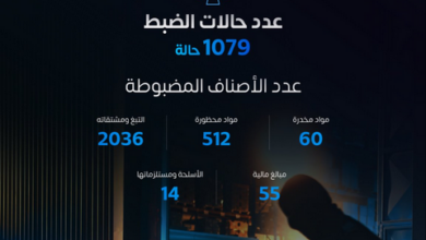 المنافذ الجمركية تضبط 1079 قضية تهريب ممنوعات خلال أسبوع 4 6 3 2