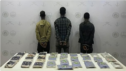 حرس الحدود يحبط محاولتي تهريب حشيش وقات في عسير وجازان ويقبض على 8 مخالفين 1 6 353