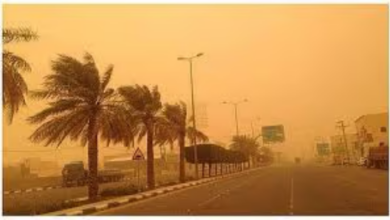 الأرصاد تنبّه من رياح نشطة بتبوك تصل سرعتها إلى 49 كم/ساعة وتحد من الرؤية 1 6 424
