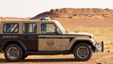 الأمن البيئي يضبط مواطنًا يرعي 13 من الإبل في منطقة محظورة 8 6 6 1