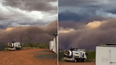 مشهد مذهل.. عاصفة ترابية جدارية تبتلع سماء صحراء تانامي الأسترالية 4 66 119