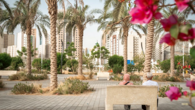 أمانة مكة تؤكد جاهزيتها لاستقبال الحجاج بتطوير الحدائق والمرافق العامة 2 66 157