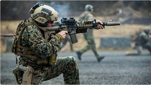 أستراليا تستضيف "تاليسمان سايبر 2025": مناورات عسكرية ضخمة لتعزيز الأمن الإقليمي 1 66 87