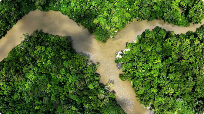 تأثير صادم لتغير المناخ: غابات أستراليا المطيرة تتحول من "مخزن للكربون" إلى "مصدر للانبعاثات" 1 666 102