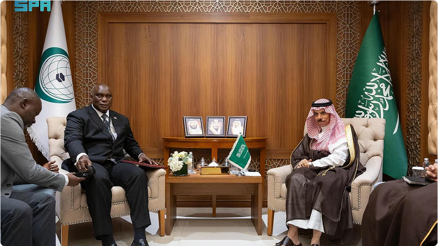 الأمير فيصل بن فرحان يلتقي وزير خارجية غامبيا 1 666 84
