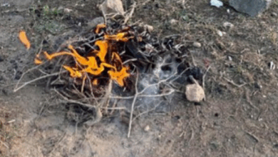 الأمن البيئي يضبط مقيماً يمنياً أشعل النار في غير المخصص لها بمحمية الإمام فيصل بن تركي 2 7 2 7