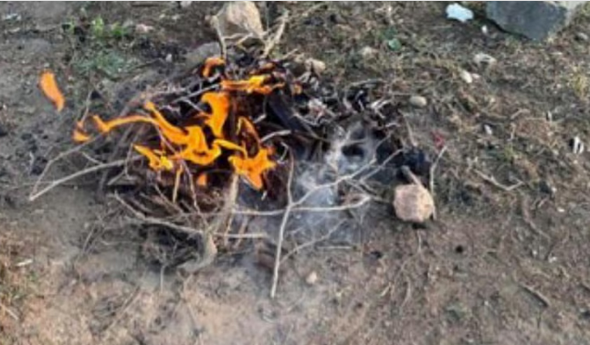 الأمن البيئي يضبط مقيماً يمنياً أشعل النار في غير المخصص لها بمحمية الإمام فيصل بن تركي 1 7 2 7