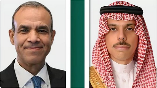اتصال سعودي-مصري لبحث تطورات غزة.. دعوات لوقف الانتهاكات وإنهاء الكارثة الإنسانية 1 7 334