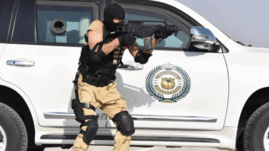 القبض على مهربين ومروجين للمخدرات في عمليات بجازان والرياض وحائل وعسير 2 7 356