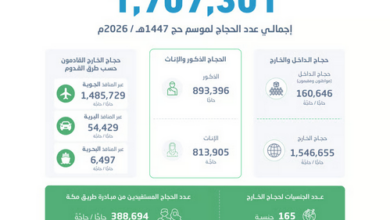 إحصاء يعلن وصول عدد حجاج موسم حج 1447 إلى أكثر من 1.7 مليون من الداخل والخارج 3 7 401