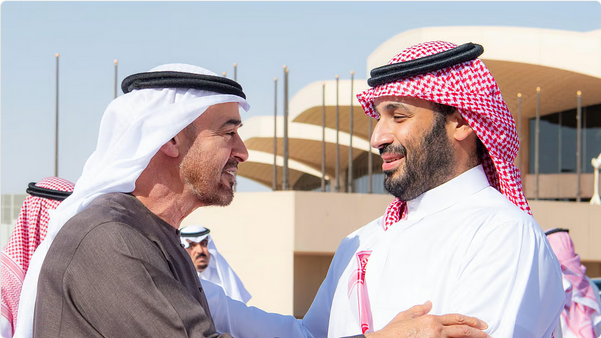 رئيس دولة الإمارات يغادر الرياض وولي العهد في مقدمة مودعيه 1 77 106