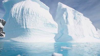 للمرة الأولى عالمياً: دراسة صينية توثق مؤشرات "الاحترار الشامل" في القارة القطبية الجنوبية 4 77 133
